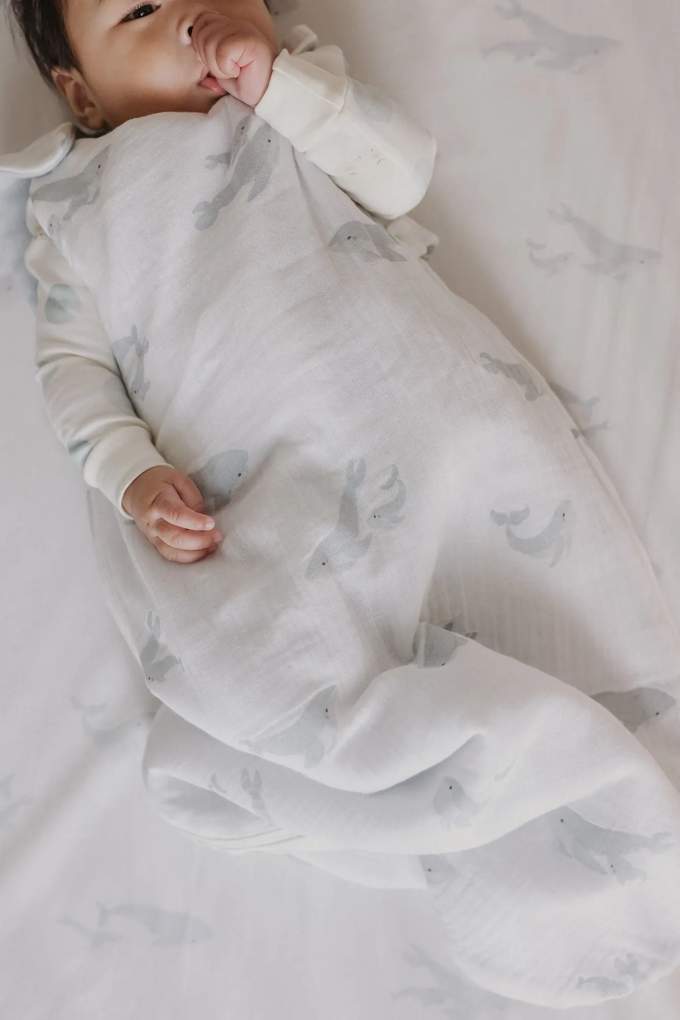 1.7 TOG Sleep Bag