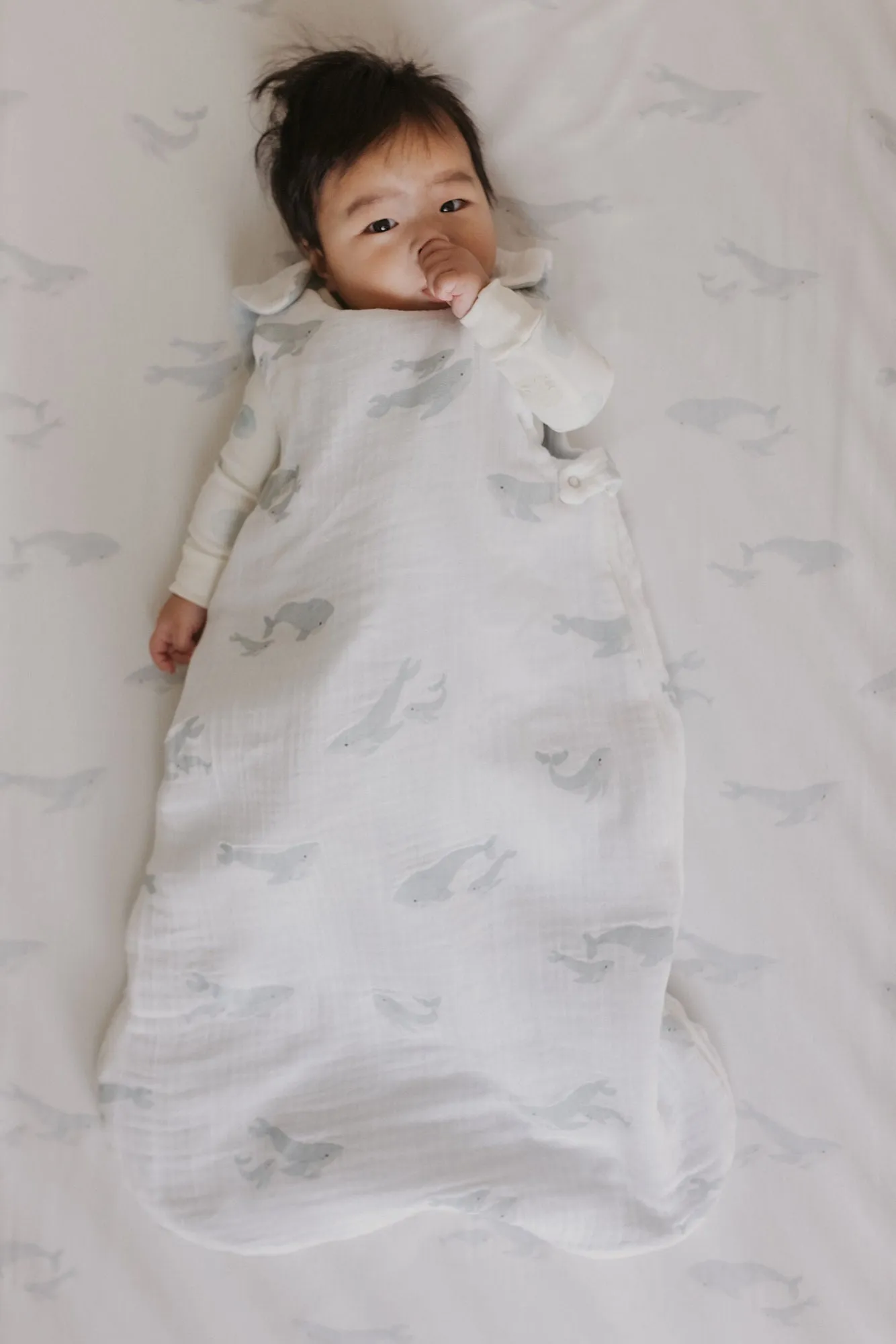 1.7 TOG Sleep Bag