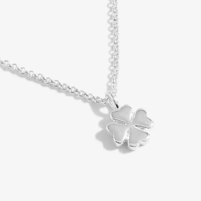 A Little Luck Silver 46cm   5cm Extender Necklace 5282