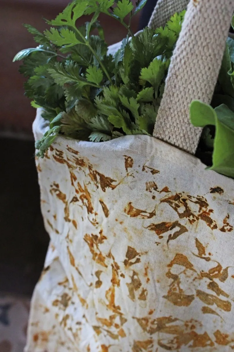 Eco Printed Packaging Bag- Mustard, White